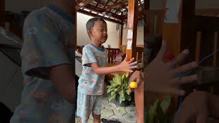 Download lagu Lato-Lato Bocil Gokil   #shorts #viral #latolato #mainananak #subscribe mp3 Download lagu Lato-Lato Bocil Gokil   #shorts #viral #latolato #mainananak #subscribe mp3