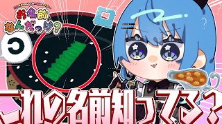 【お名前なんだっけ?】ここで名前を憶えて今後マウント取ります【ホロライブ / 星街すいせい】