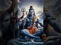Mahadev Status Video 2024 Bholenath 4k Status Mahashivratri Status Mahakal Status Mahadev
