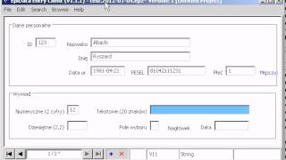 EpiData Entry YouTube Video