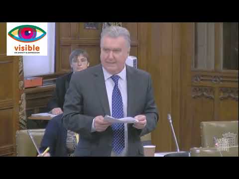 E-petition debate on the hunting of dolphins and whales in the Faroe Islands - 11/07/2022 - French