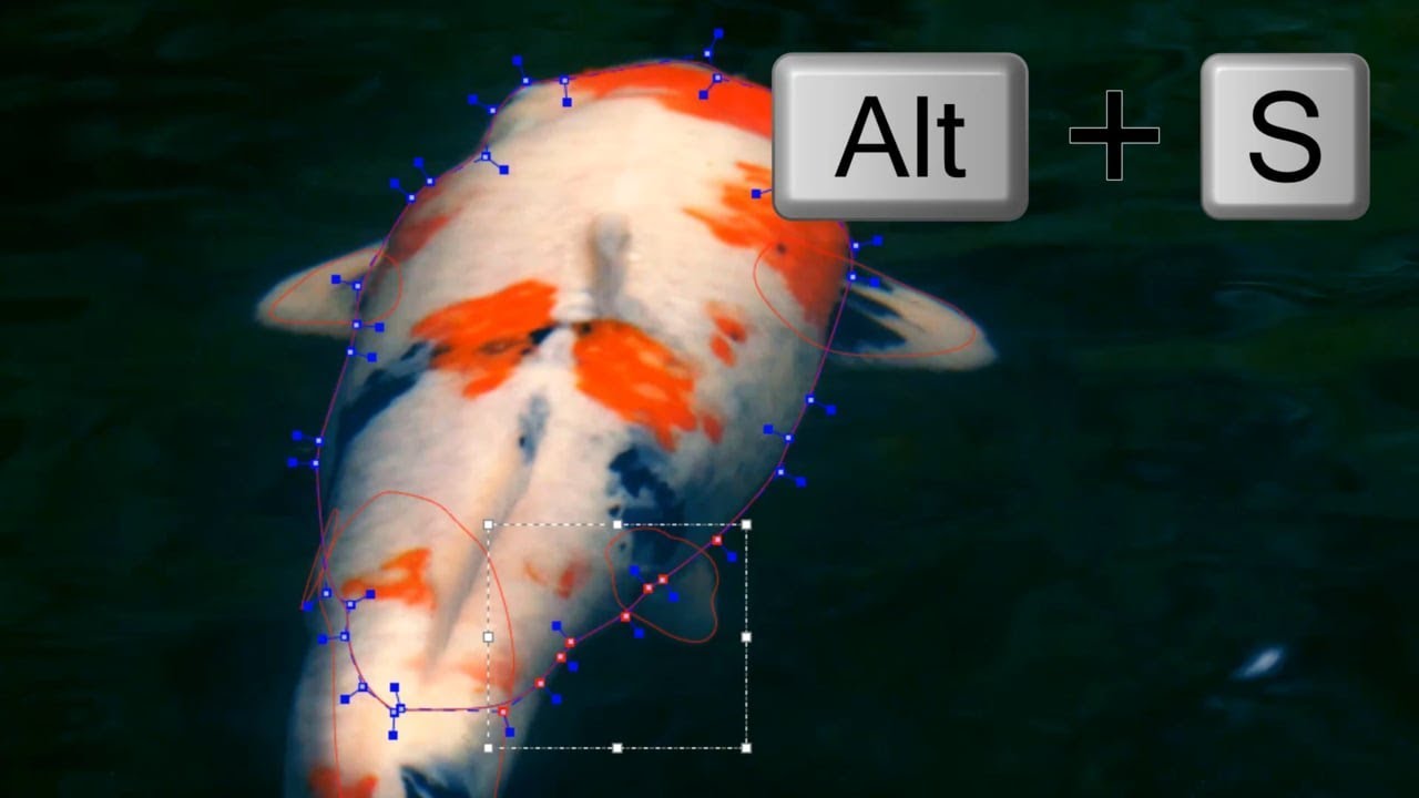 Mocha Pro 2019.5 - New Edge Snapping Tools