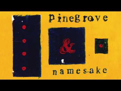 Pinegrove - Namesake