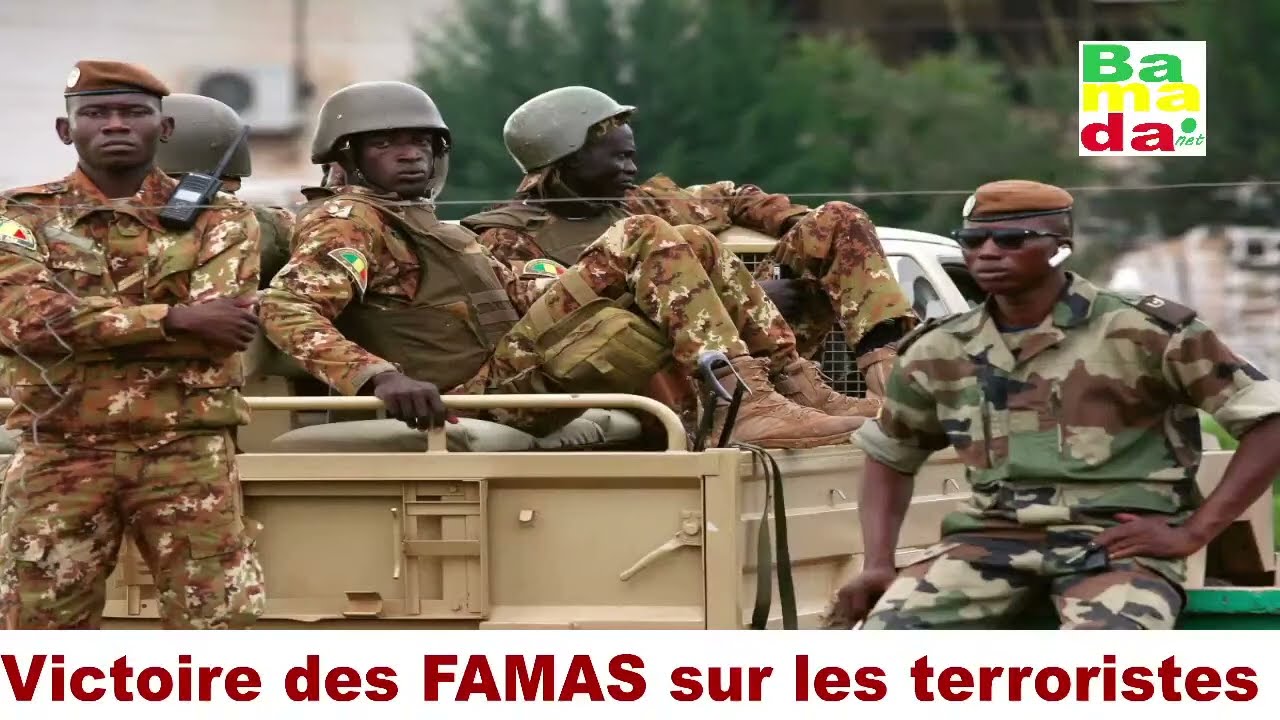 Malian ministers review a military parade and weapon assembly demonstration at the National Youth Service training center in 