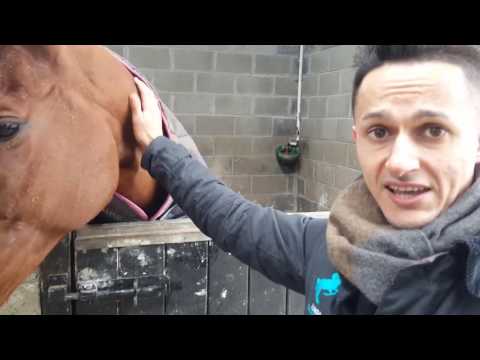 CHELTENHAM PREVIEW AT  GORDON ELLIOT'S YARD 2017