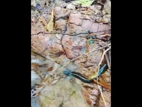 PESCARIA NO AÇUDE DE IPAPORANGA ,NO CEARÁ 🐠🐠
