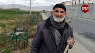 Seydişehir'in Ağaç Sever Dedesi