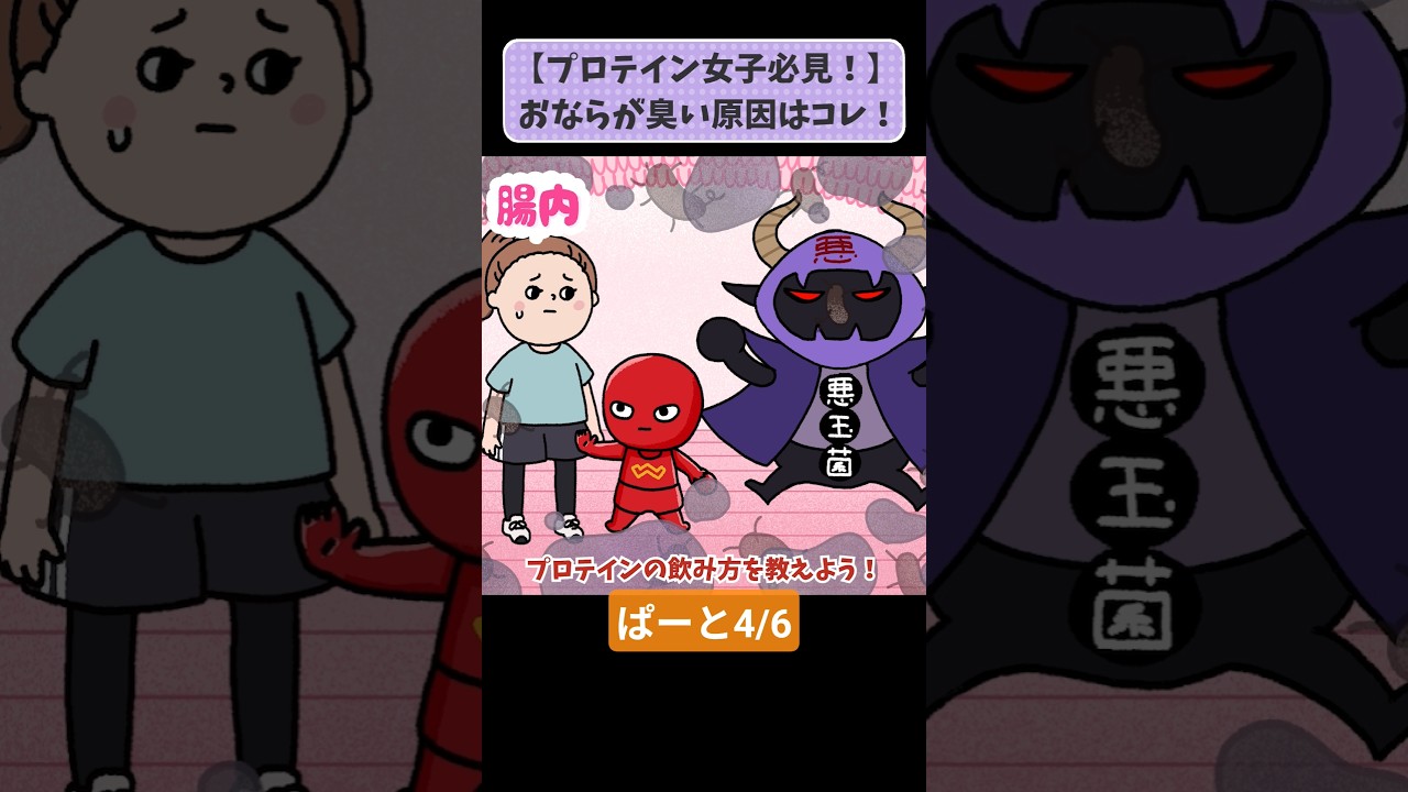 【プロテイン勢必見！】おならが臭い原因はコレ！胃腸に負担をかけないプロテインの飲み方 パート4/6 #わかもと製薬 #アニメ #腸活