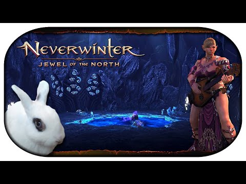 NEVERWINTER: Mit Sang und Klang durch Faerun 🎸 20 - Rätsel, Rätsel, Leberwerte