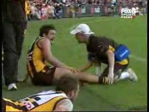 Hawthorn Vs Adelaide 2007 Elimination Final