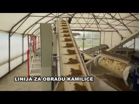 Chamomile processing line