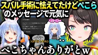 スバルぺこらのメッセージで不安な気持ちが晴れた件とぺこらマミーについて【大空スバル/ホロライブ】