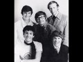 The Zombies -  "She does everything for me"