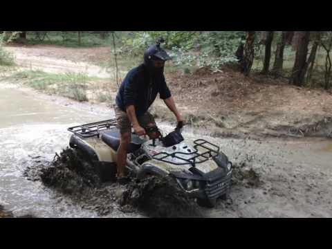 Fursten Forest Furstenau 29-08-2016