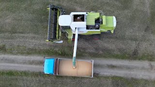 2020 Harvest Soybeans