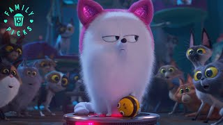 Download lagu Gidget Saves Busy Bee and Max Saves Cotton | The Secret Life of Pets 2 mp3