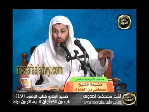  شرح صحيح البخارى   كتاب الوضوء 19 