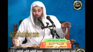 شرح صحيح البخارى   كتاب الوضوء 19