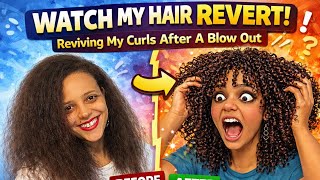 WATCH MY HAIR REVERT! | Reviving My Curls After A Blow Out