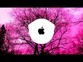 Apple Ringtones Let Me Love You By EKSN