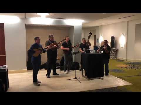 Gypsy Stringz Performance