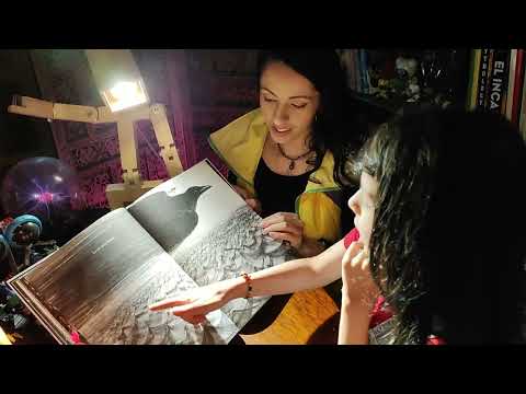 Alexandra Guevara - Libro recomendado: El Pájaro Negro