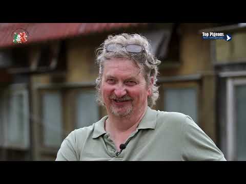 ZLU wedvlucht winnaar Marseille 2019   Wil Boonen