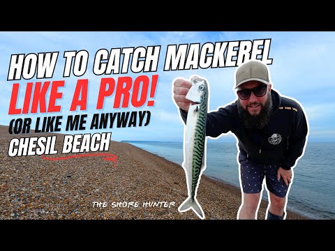 How to Catch Mackerel on Chesil Beach | The Best Tips & Techniques For Fishing For Mackerel 🎣