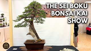 Bonsai Show Review: What We Can Learn from the Masters at a Bonsai Show