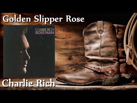 Golden Slipper Rose video