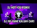 NEW INS NOT YOU ALAN WALKER DJ VIRAL TIKTOK TERBARU LOVE CAR