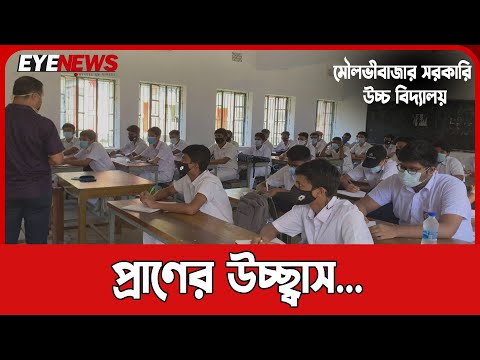 দেড় বছর পর স্কুল, প্রাণের উচ্ছ্বাস মৌলভীবাজার সরকারি উচ্চ বিদ্যালয়ে