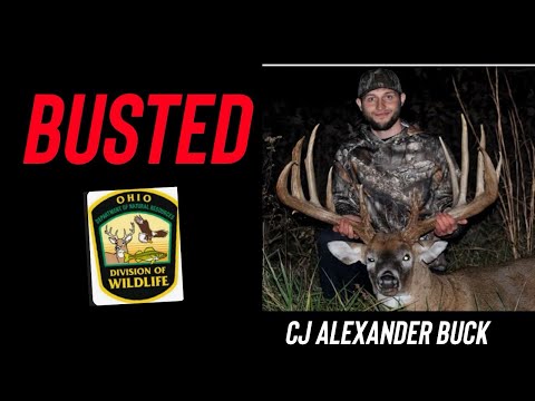 Cj Alexander buck update / busted / 30k fines