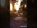 Mizhiyariyathe Whatsapp Status
