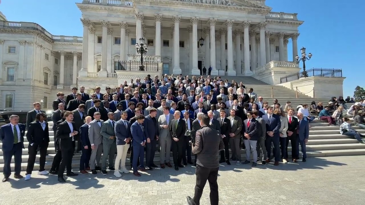Bison on steps at capital