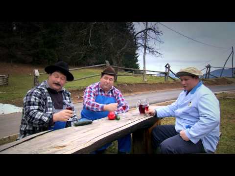 ANSAMBEL KRAJCARJI - NUORI CAJTI