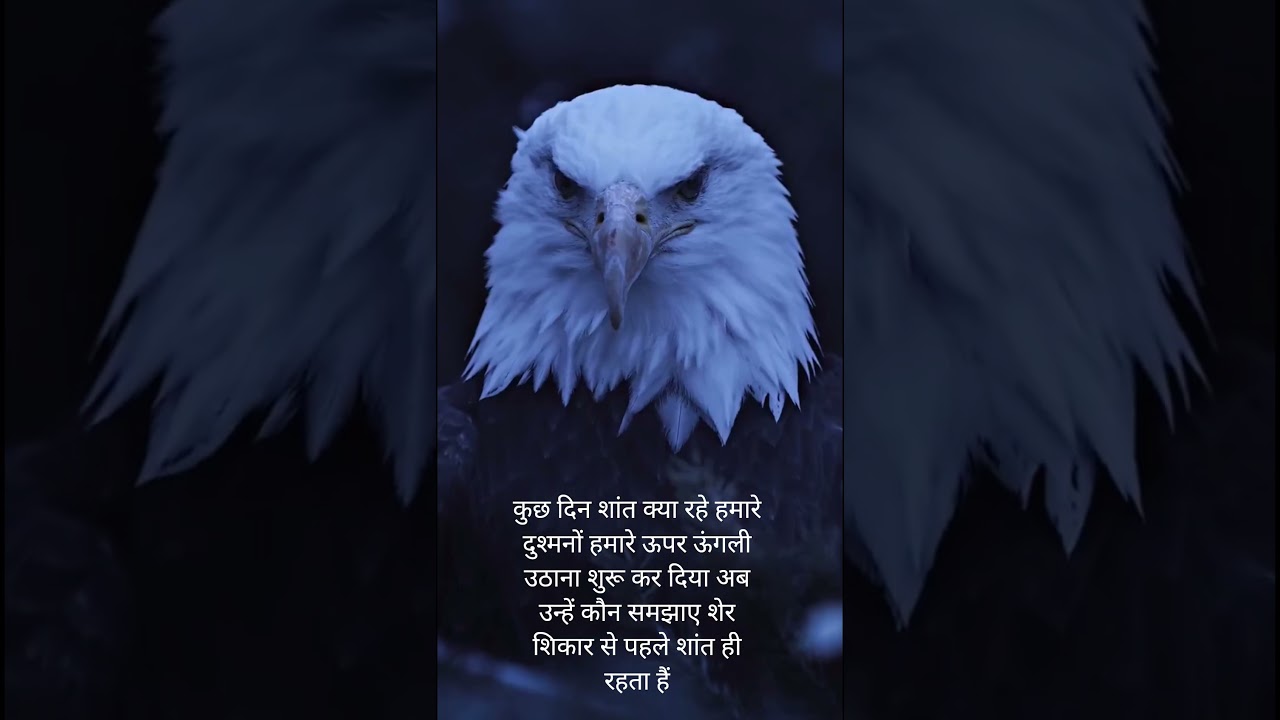 #कुछ दिन शांत क्या रहे हमारे दुश्मनों हमारे ऊपर ऊंगली उठाना शुरू कर दिया #trendingshorts #ytshorts