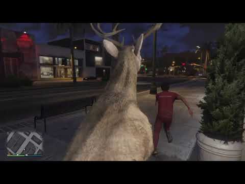 THE GREAT OUTDOORS ON GTA!