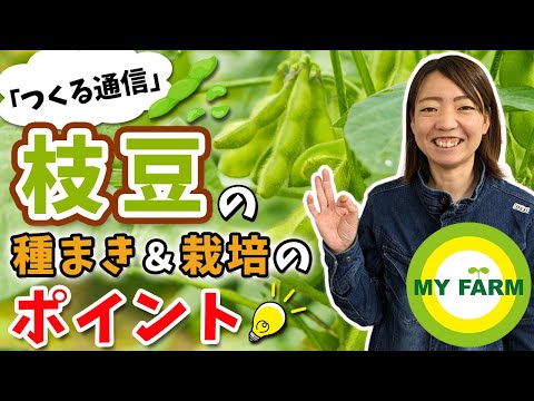 豆はいつ蒔くの？どうやって ？どの野菜と一緒に？リーダーに従う ！  庭園