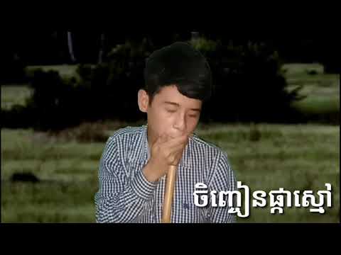 ចិញ្ចៀនផ្កាស្មៅ យឿន ពិសី សំលេងខ្លុយ cover