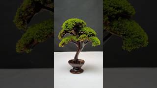 Download lagu Coconut Shell Creativity | Unique Craft Ideas 🥥🥥🥥 #shorts #diy #coconutshellcraft #ideas mp3