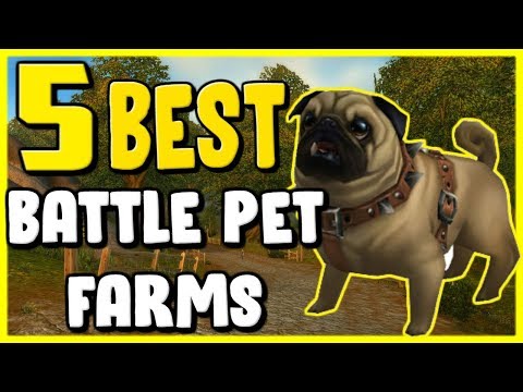 5 Best Battle Pet Farms In WoW BFA 8.2 - Gold Farming, Gold Making