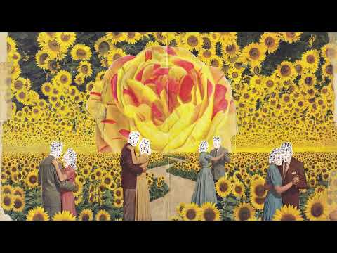 Abo El Anwar - El Naseeb | ابو الانوار اغنية النصيب