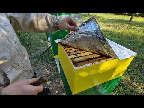 89.2023. Stupii MER din România sunt pregătiți pentru iernare.