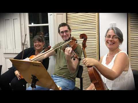 Orquesta de Cámara Municipal de Rosario