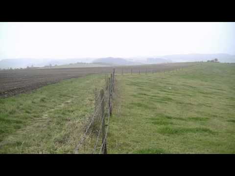 Comment qu'a moy lonteinne - Virelai by Guillaume de Machaut Virelai No. 5.