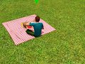 Sims 3 Picnic Basket