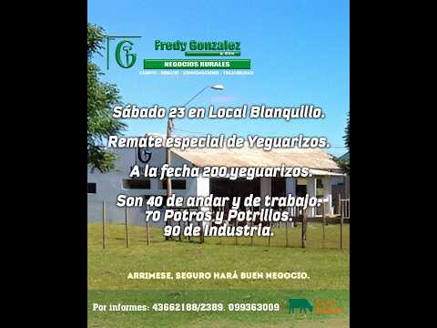 23/5/2026 Blanquillo - Durazno - Feria Mensual - Fredy González y Cía Ltda - Diego Prego