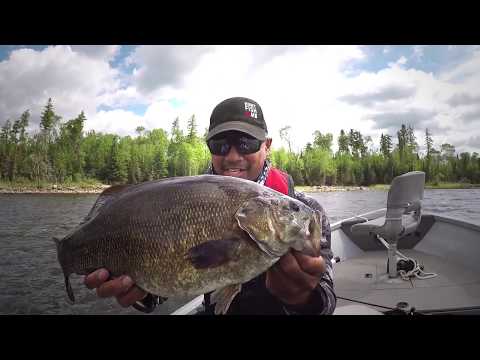 Unreal Summer Bass & Walleye Fishing at Q Lake Lodge - Manitoba Hot Bite