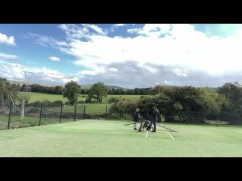 Mitzy & Scruffy Social Skills